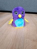 Hatchimals Rheinland-Pfalz - Gimbsheim Vorschau