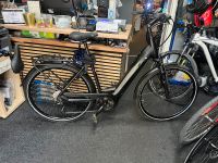 Pegasus Solero Evo 9 E-Bike 28’Zoll Rh’55‘cm Friedrichshain-Kreuzberg - Kreuzberg Vorschau