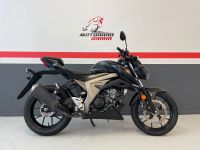 Suzuki GSX-S  GSXS 125 |Top Zustand|KD Neu| Baden-Württemberg - Waiblingen Vorschau