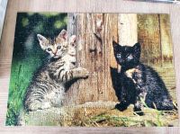 Puzzle zwei süße kleine Katzen 500 Teile Nordrhein-Westfalen - Engelskirchen Vorschau