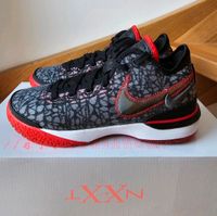 Nike Zoom LeBron NXXT GEN 'FaZe Clan' Gr. 42 *NEU* Niedersachsen - Braunschweig Vorschau