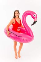 Didak Pool - 110cm - Flamingo-Pooltier Nordrhein-Westfalen - Niederkassel Vorschau