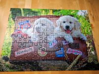 Hunde Puzzle Welpen Nordrhein-Westfalen - Gummersbach Vorschau