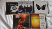 5 CD´s 90 iger FANCY Goldberg - MODERN SOUND ORCHESTRA POP CLASS Dresden - Seidnitz/Dobritz Vorschau