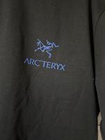 Arcteryx T Shrit Wandsbek - Hamburg Jenfeld Vorschau
