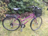 Schauff Damen Trekkingrad 28“ Dresden - Blasewitz Vorschau