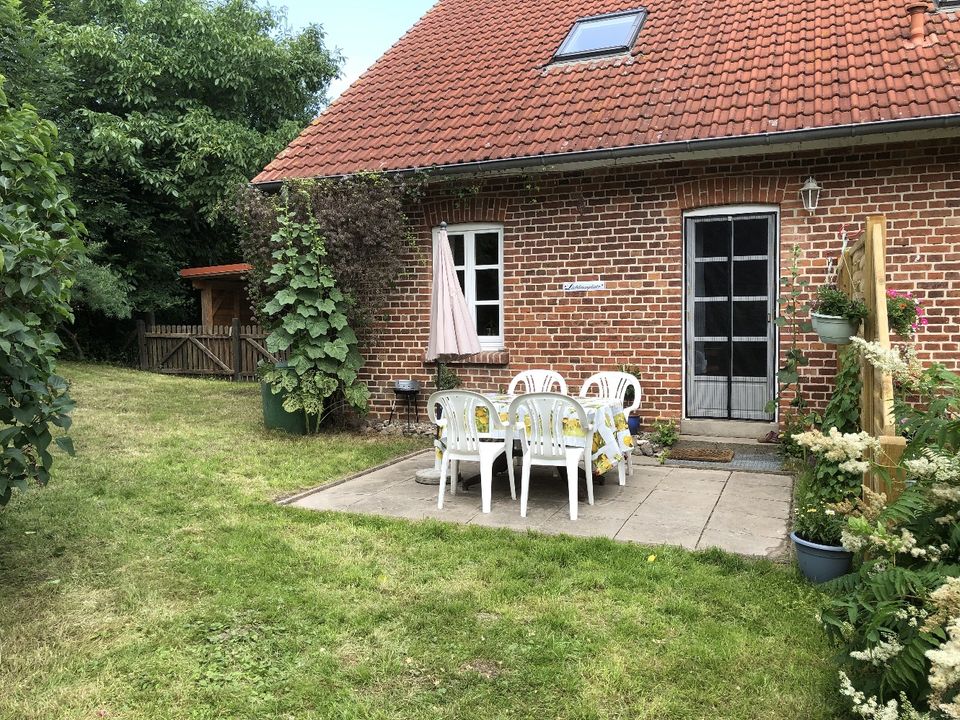 Ferienwohnung Nähe Barth, Ostsee, Darß, Zingst in Saatel