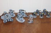 Warhammer 40.000 40k Space Marines Space Wolves bemalt Niedersachsen - Walsrode Vorschau