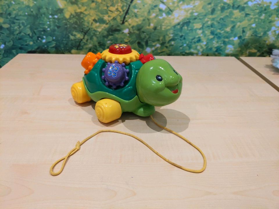 Lern Spielzeug Schildkröte in Trebbin