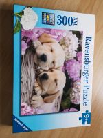 Verkaufe Ravensburger Puzzle süße Hunde Bayern - Obertrubach Vorschau