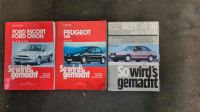 Auto Handbuch  Ford Escort Orion  Peugeot 206 Nordrhein-Westfalen - Gevelsberg Vorschau