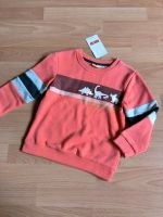 Jungen Dino Pullover Baden-Württemberg - Triberg Vorschau