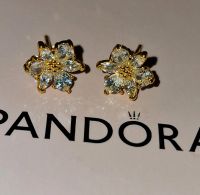 Pandora Blüten Ohrstecker in gelbgold Nordrhein-Westfalen - Bedburg Vorschau