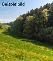 Suche Wald und oder Wiese zum Kauf im Umkreis von 83346 Bergen Bayern - Bergen Vorschau