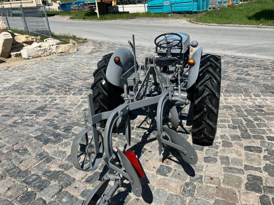 Massey Ferguson TE 20 Benzin Oldtimer Traktor Pflug in Mainburg