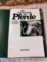 Buch über Pferde Thüringen - Ilmenau Vorschau