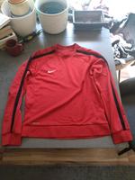 Nike Pullover in Rot, Größe L Berlin - Steglitz Vorschau