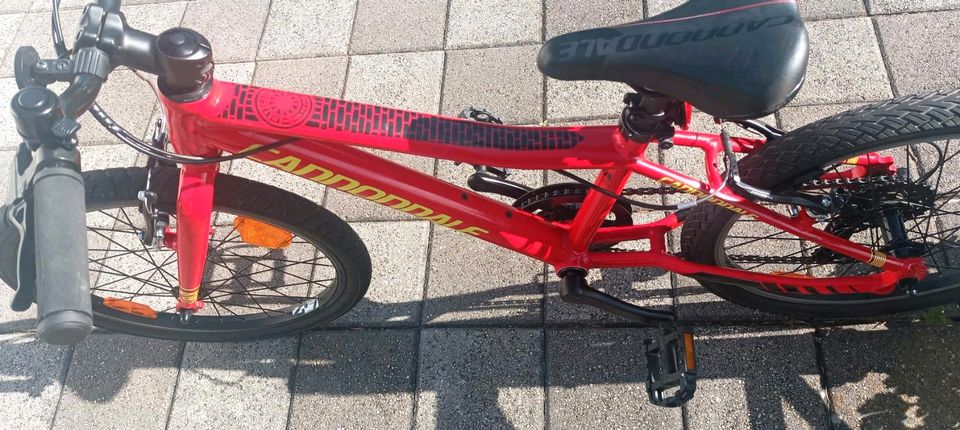 Kinder Fahrrad 20" Mountainbike SUPER Zustand in Tettnang