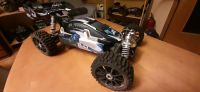 Ansmann Racing Virus 2.0 Brushless 2,4 GHz Hessen - Eschwege Vorschau