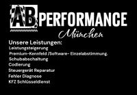 FRM 3 BMW MINI R55, R56  E82 E87 E90 E92 E70 R56 Reperatur. Aubing-Lochhausen-Langwied - Aubing Vorschau