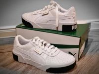 Neue Puma Schuhe Gr.39 mit original Karton NP 85€ Niedersachsen - Ostrhauderfehn Vorschau