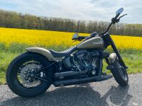 Harley Davidson Softail Slim S Hessen - Rödermark Vorschau