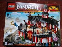 Lego Ninjago nur 1x aufgebaut Brandenburg - Werben (Spreewald) Vorschau