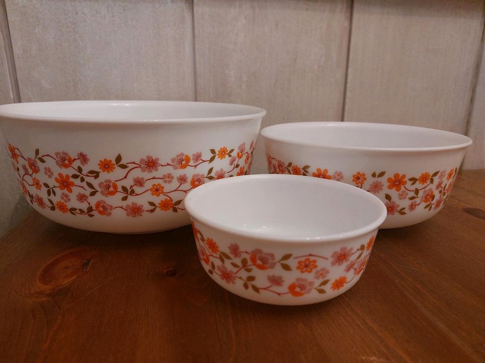 Acropal scania Set 3 SCHÜSSELN Schale Blumen rosa Orange vintage in Lindenberg im Allgäu