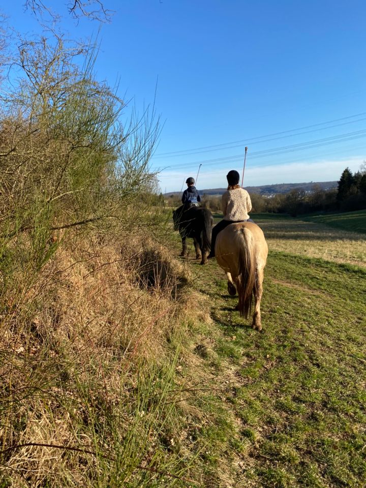 Reiterferien - Natural Horsemanship Ferienkurse in Wetzlar