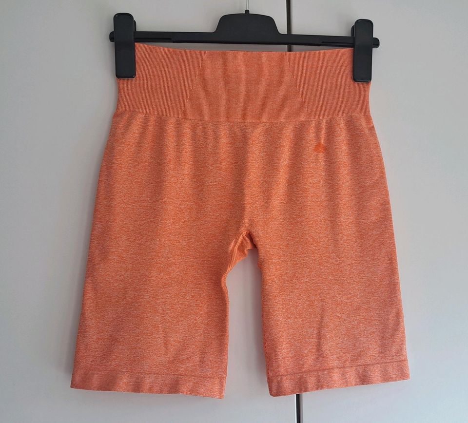 OACE Revolution Core Shorts Gr L in Kandern