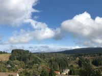 Harz Altenau Ferienwohnung Waldkäuzchen WLAN Brockenblick 2 Pers. Niedersachsen - Altenau Vorschau