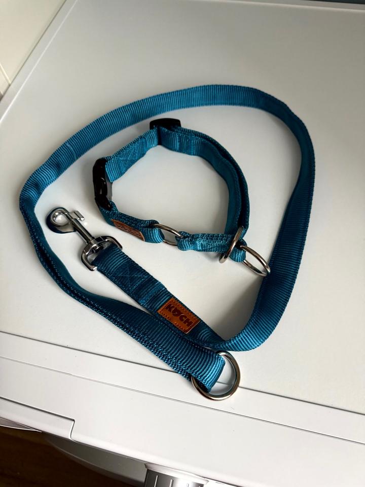 KOCH Premium Zugstop-Halsband M + passende Stadtführhundeleine in Reichenbach (Vogtland)