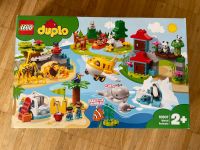 Lego Duplo, Tiere der Welt, neuwertig Hamburg-Mitte - Hamburg Neustadt Vorschau