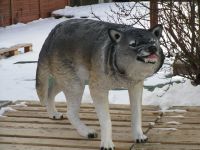 Wolf stehend aus Polyresin Neu für Außen inkl. Versand Sachsen-Anhalt - Wimmelburg Vorschau