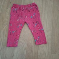 Capri Leggings Gr. 104 Niedersachsen - Verden Vorschau