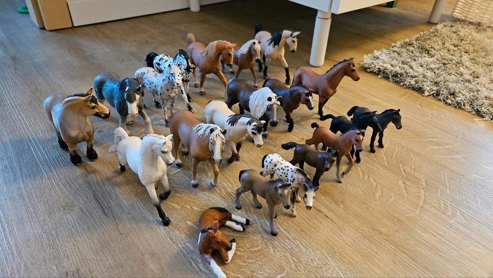 Schleich Pferde in Dresden