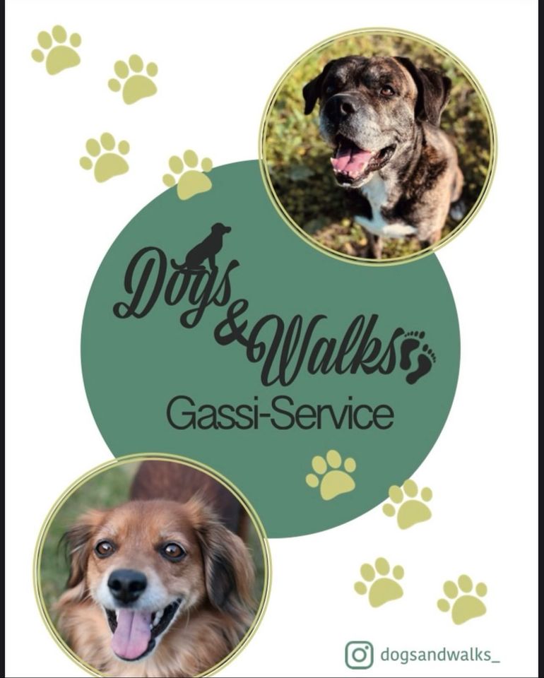 Gassi gehen, Dog walker , Hundebeschäftigung , Gassi Service in Ritterhude