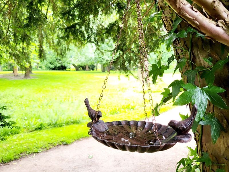 Vogeltränke zum Hängen Gusseisen Balkon-Hängetränke Futterschale in Rheine