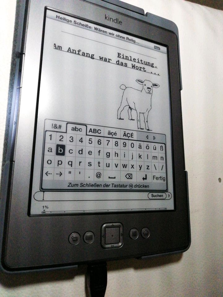 Kindle mit Leder Hülle in Mainaschaff