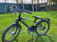 Kinder Fahrrad 20 Zoll Panther Brandenburg - Glienicke/Nordbahn Vorschau