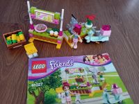 Lego Friends 41027 Mia Limonadenstand vollständig TOP Ostern Baden-Württemberg - Schönaich Vorschau