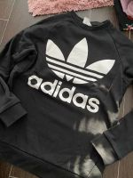 Adidas Sweatshirt s Feldmoching-Hasenbergl - Feldmoching Vorschau