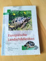 Europäische Landschildkröten von Daum, Rüdiger | Buch | Niedersachsen - Neustadt am Rübenberge Vorschau