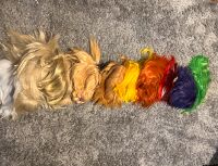 Wigs Cosplqy Niedersachsen - Göttingen Vorschau