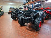 Quad Quablo Turbo RS8-3G 125cc midi Kinder GRATIS VERSAND Rheinland-Pfalz - Bad Breisig  Vorschau