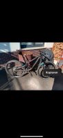 Cannondale Trigger Gr. M MTB 29er Nordrhein-Westfalen - Neunkirchen Siegerland Vorschau