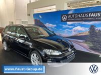 Volkswagen Golf VII Variant Comfortline DSG NAVI XENON Sachsen-Anhalt - Jessen (Elster) Vorschau