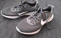 Nike Sportschuhe gr. 44 sehr guter Zustand Mecklenburg-Vorpommern - Greifswald Vorschau