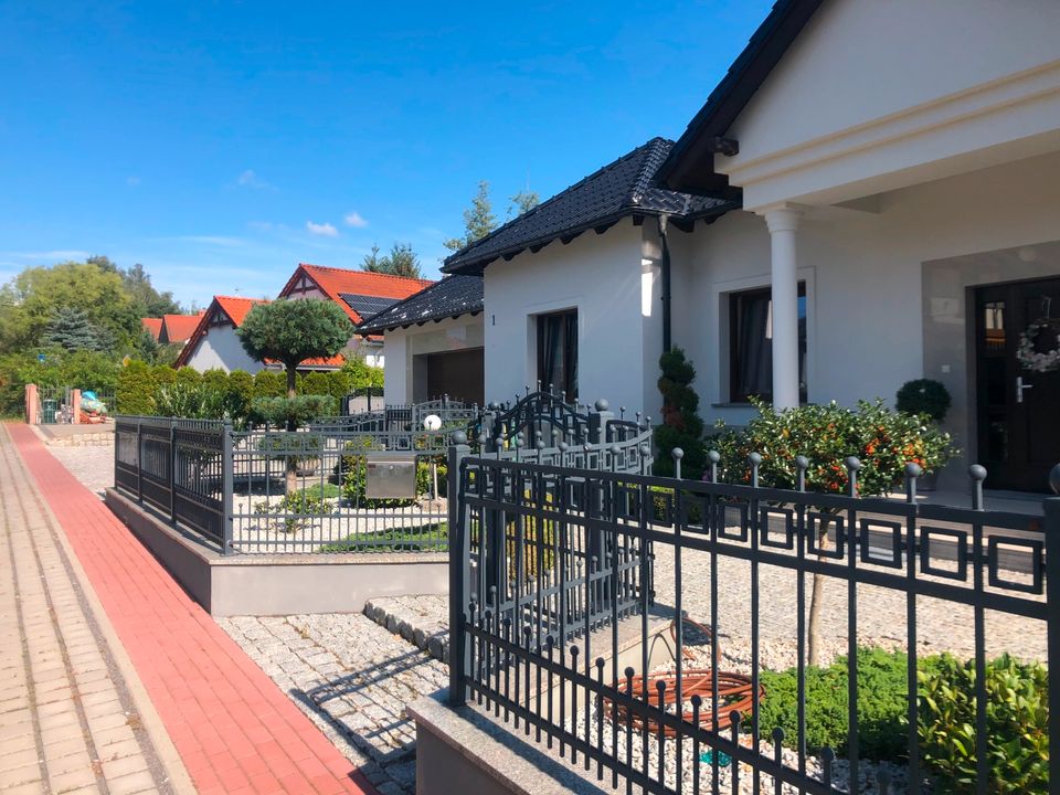 Grünpflege, Hecke schneiden, Mäharbeiten, Gartenbau, Beratung in Jößnitz