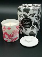 Partylite rhasberry rhubarb Himbeere Rhabarber Kerze Frühling Müritz - Landkreis - Malchow Vorschau